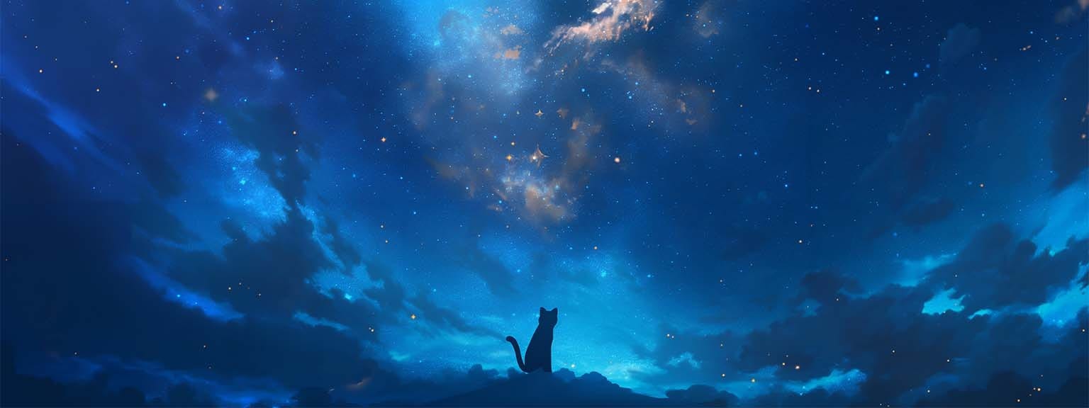 Star Gazing Cat