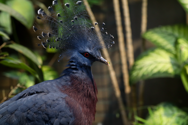 Kurkime istorijas kartu arba kaip patys tampame savo istorijų vergais.